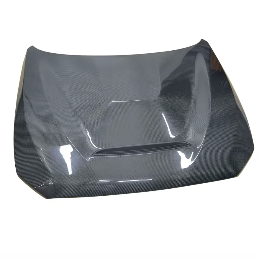 Carbon Fibre GTS Style Hood for BMW (F20, F21)