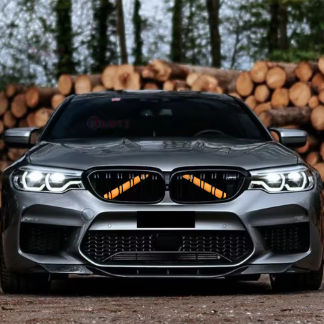 V Brace Grille Covers for BMW (F20, F21, F40, F22, F23, F30, F31, F34, G20, G21, F32, F33)