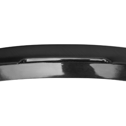 Carbon Fibre Rear Spoiler for BMW (F20 LCI)